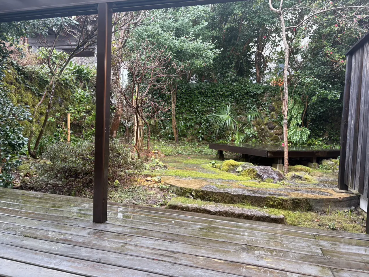 雨に濡れた庭も趣が・・・