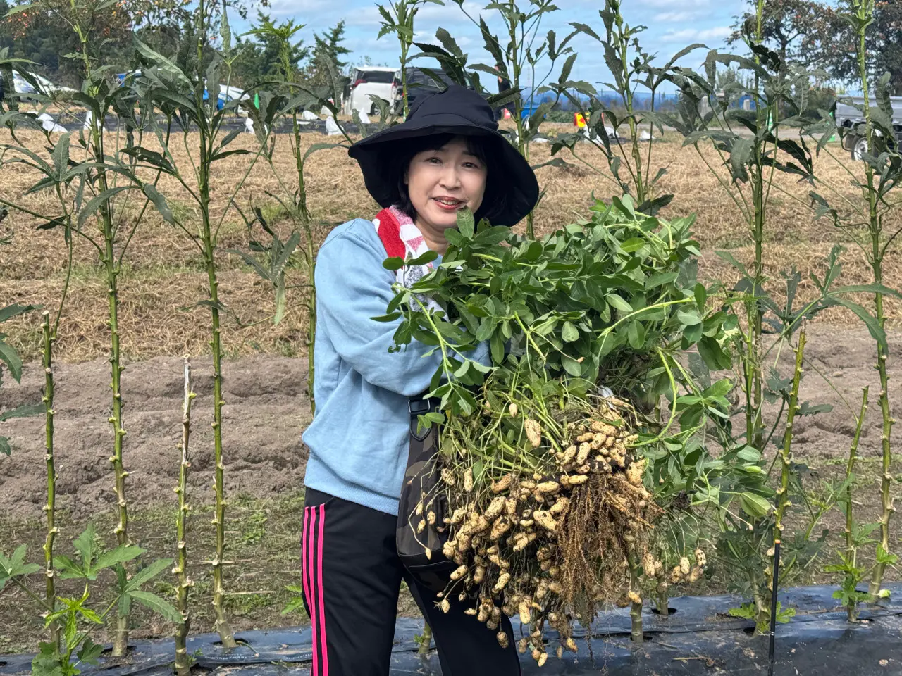 こんなにたくさんの豆が！