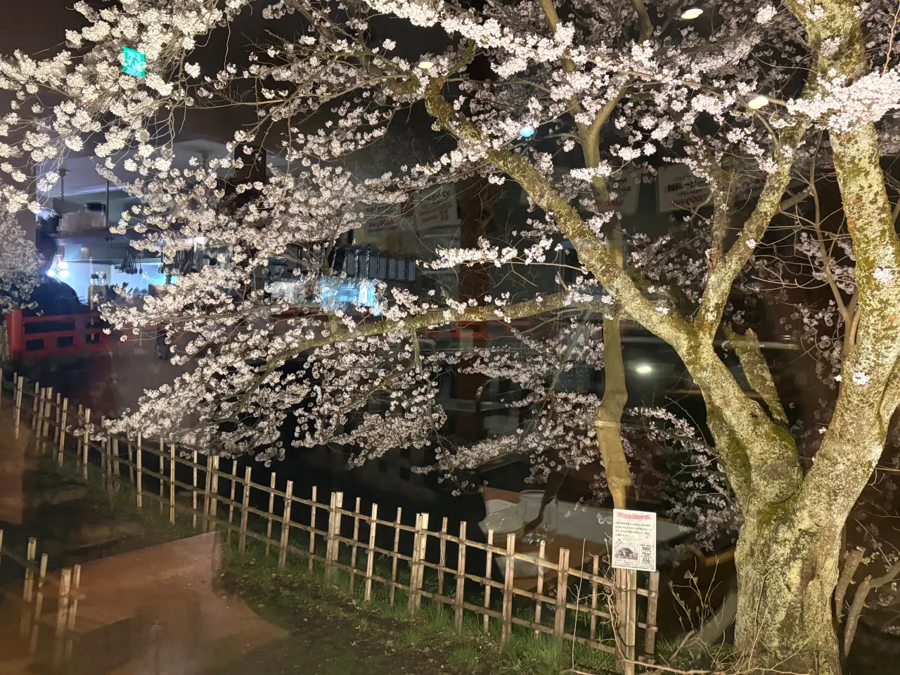 店の窓越しに撮影したので少し反射してます