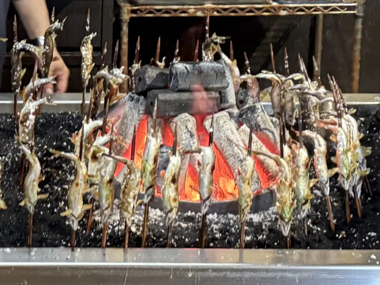 炭火でじっくり焼き上げる鮎