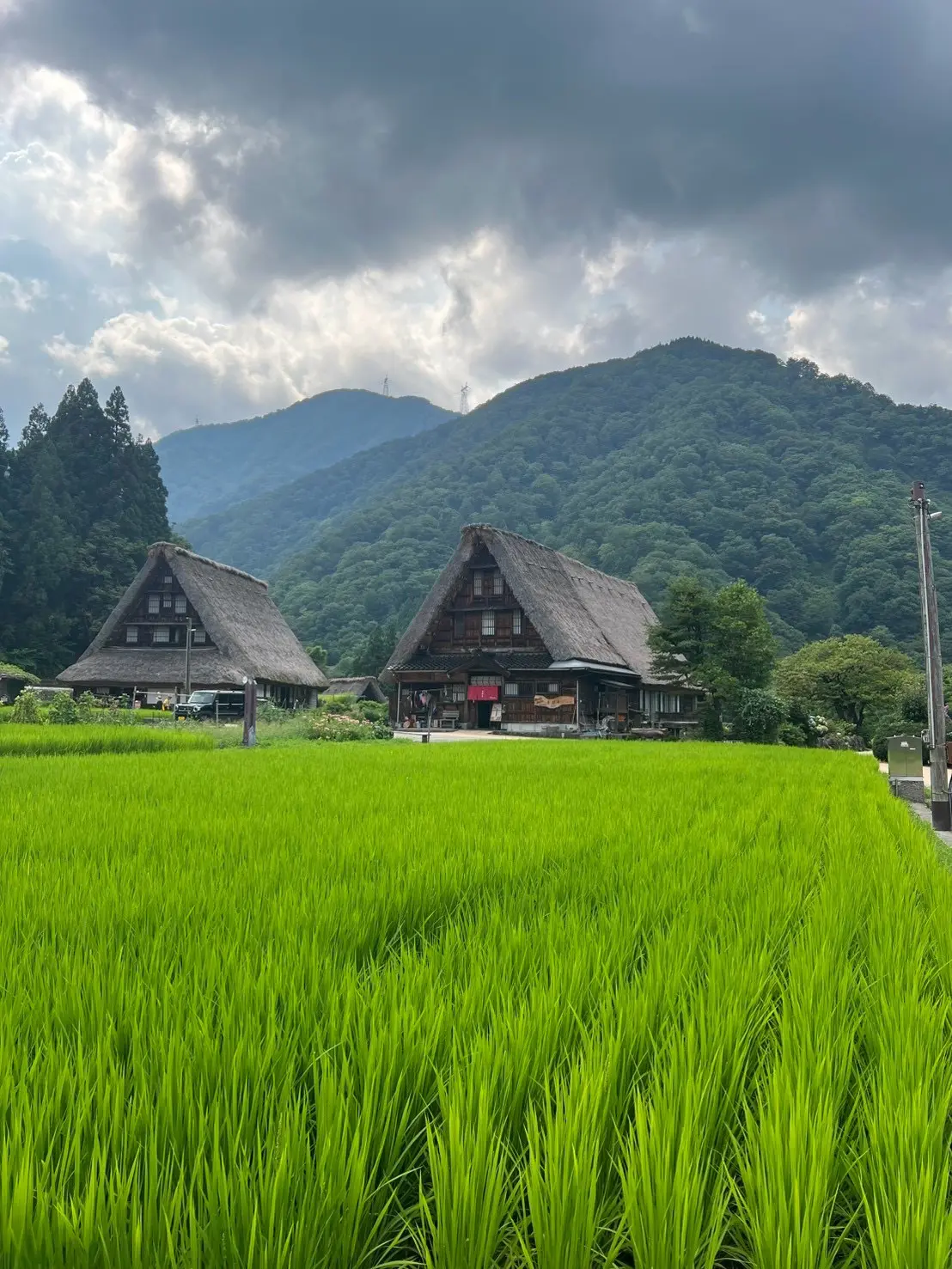 歩いているだけで癒されました