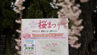 毎年恒例の「桜まつり」