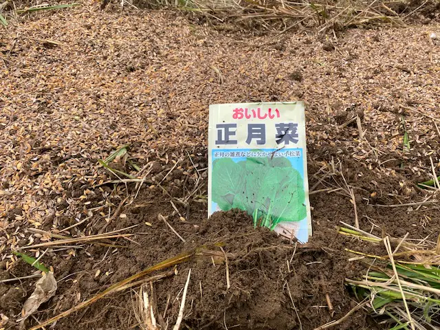 富山百景！正月のはじまり！週刊SATO！