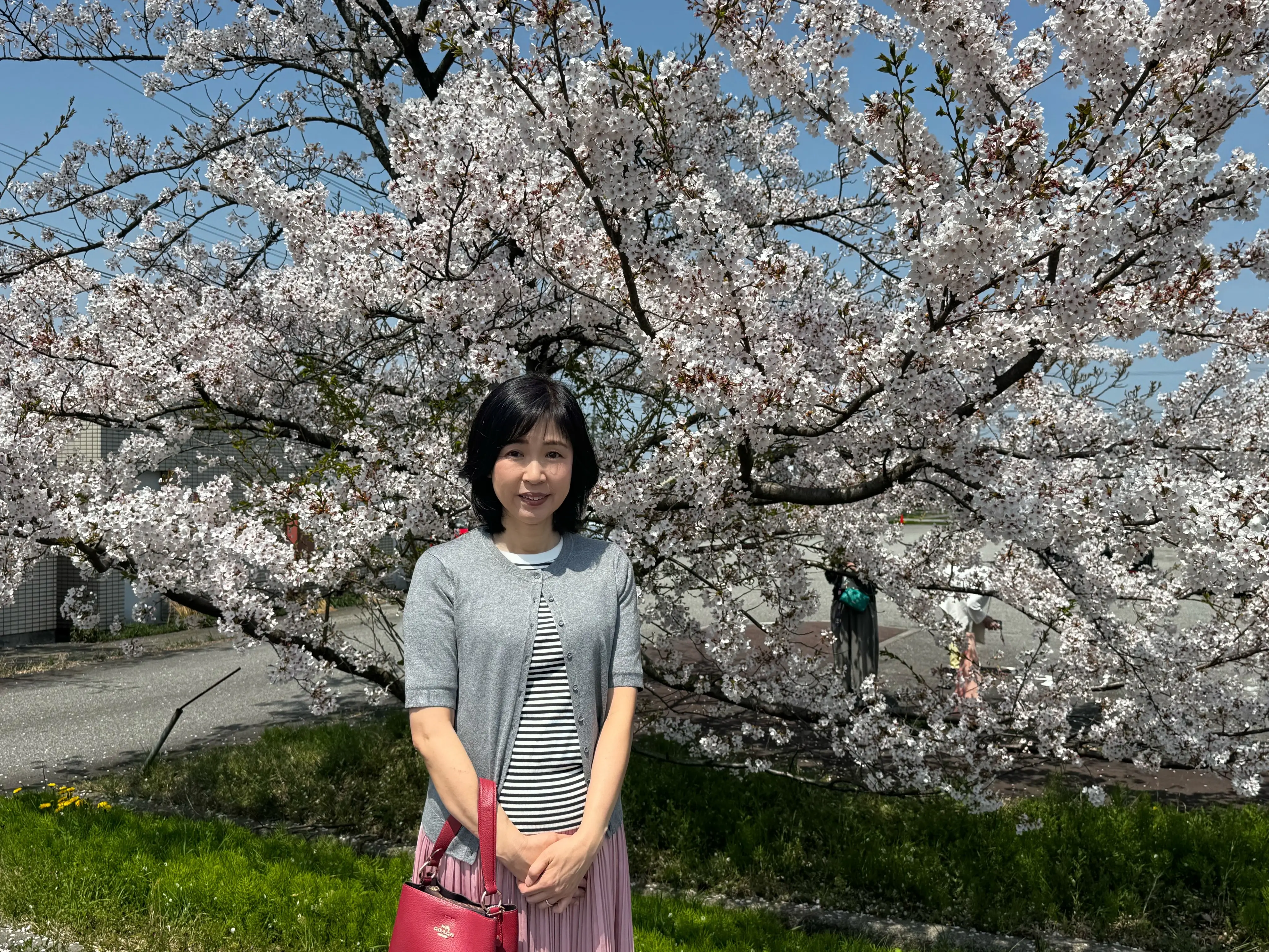 桜とお茶を楽しむ春！