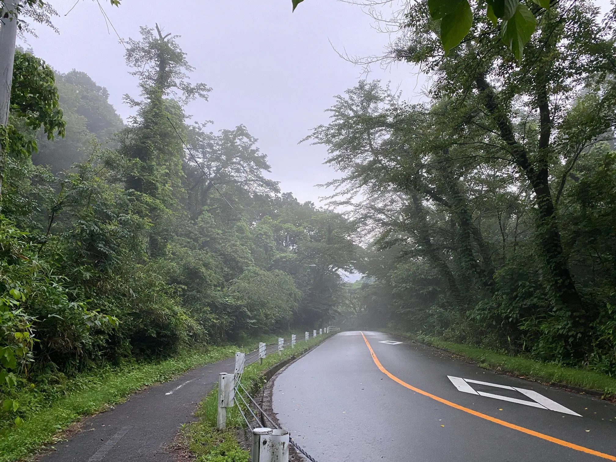 霧の呉羽丘陵