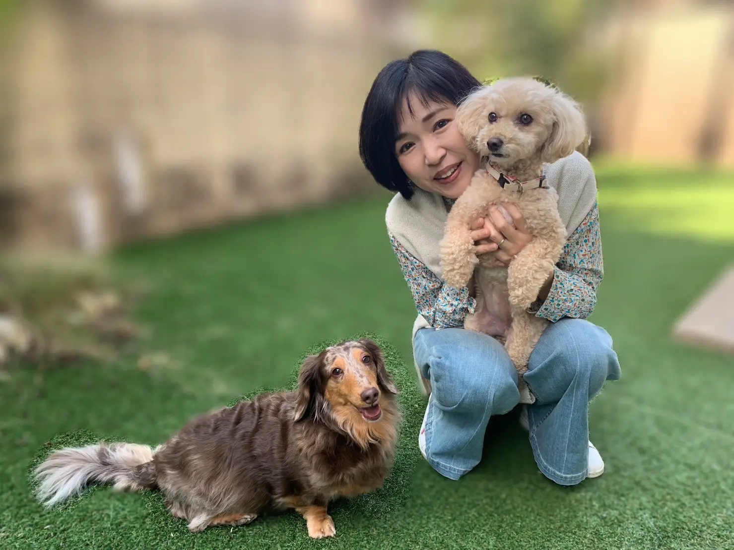 ミニチュアダックスのちょことプードルのまる　