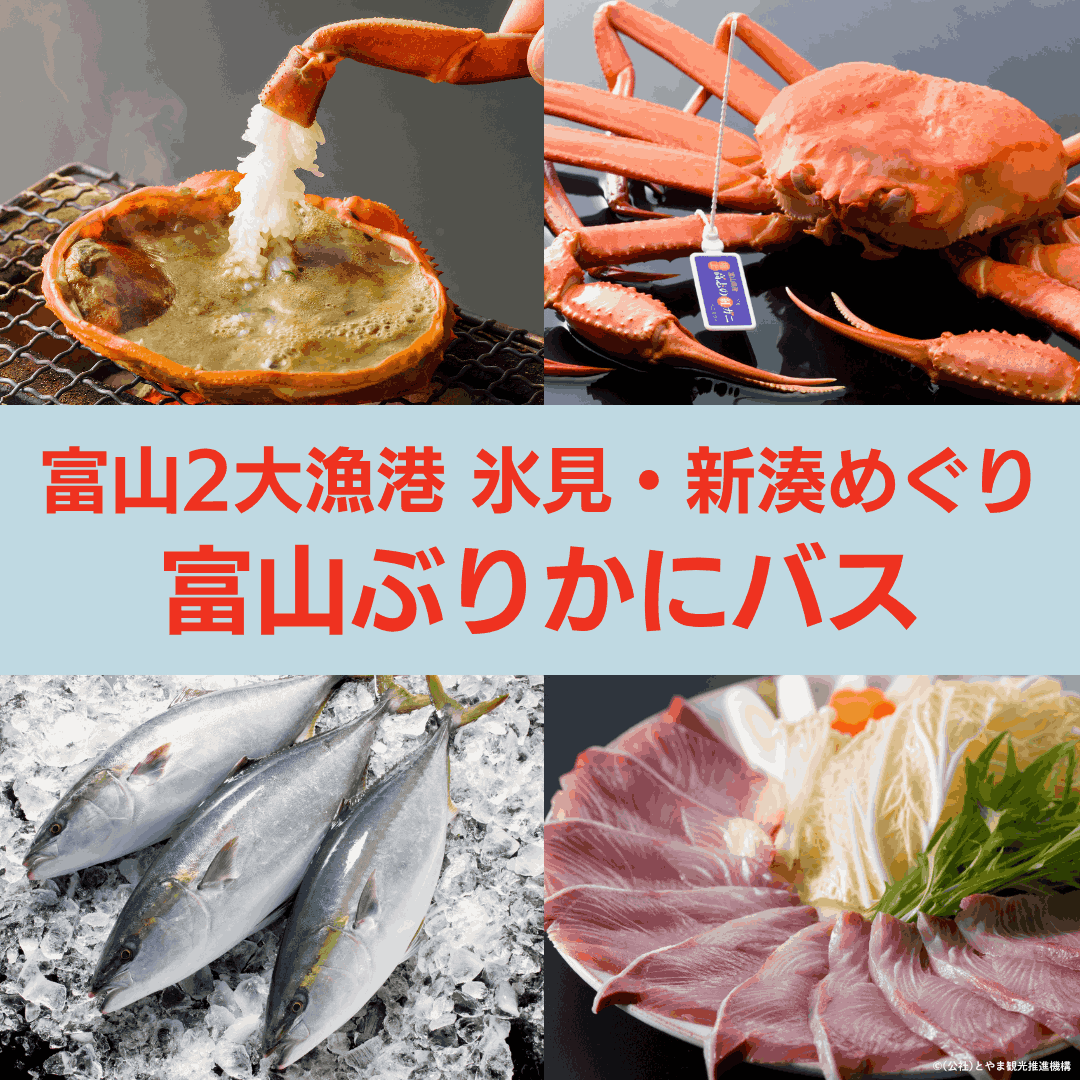 富山湾のブリとカニを堪能【ぶりかにバス】富山駅から乗り換えなし! 2