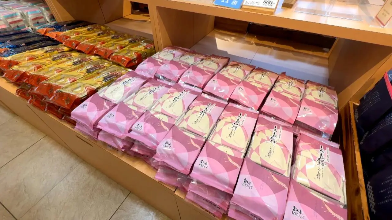 定番ラインのしろえび紀行