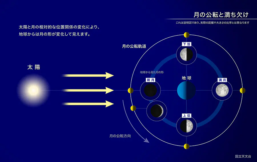 月の満ち欠け 月の満ち欠けゲーム スペシャルカード（ワイルドカード）の効果