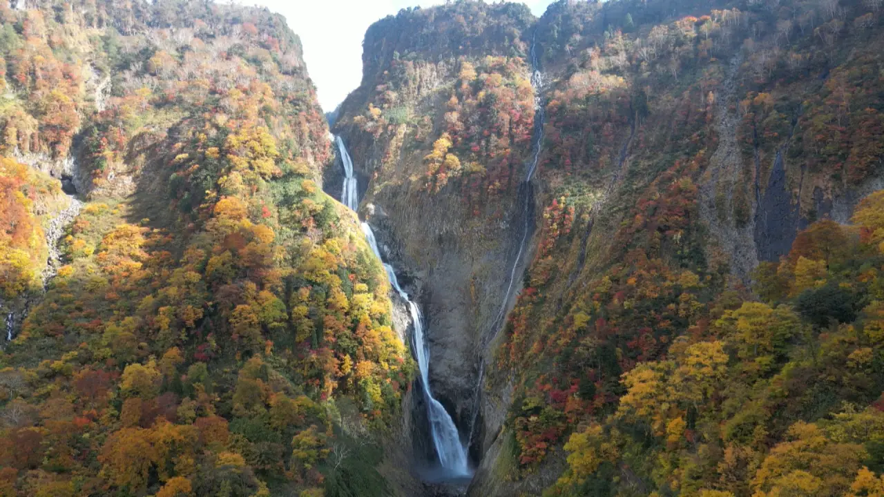 富山の紅葉2025【称名滝｜立山黒部アルペンルート】高低差350mの大絶景