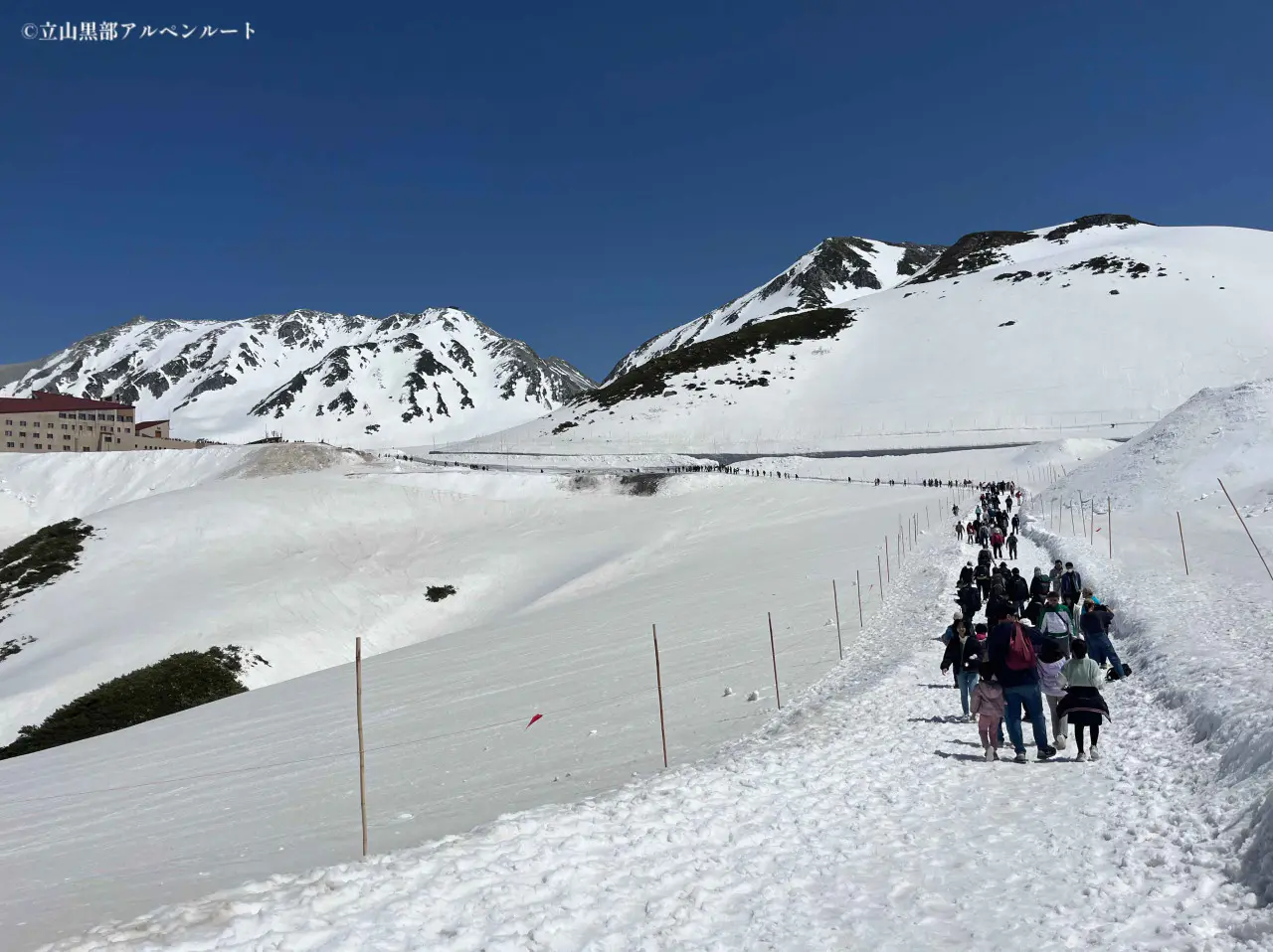世界に誇る“立山の大谷” 2025年は高さ16m【立山黒部アルペンルート