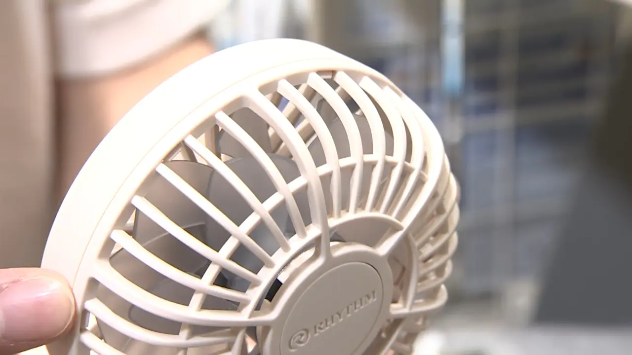 よく見ると羽根が２枚