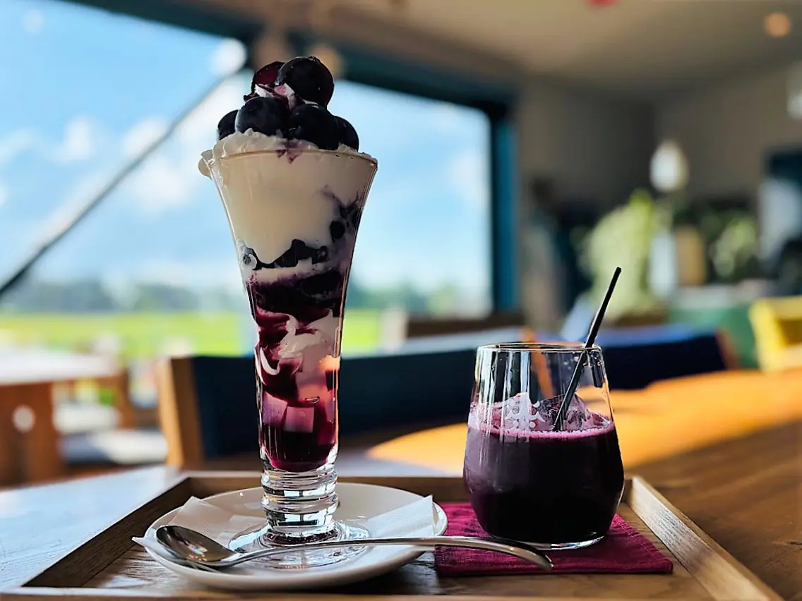 富山のぶどう園2025】北陸で最も歴史あるぶどう園【やまふじぶどう園