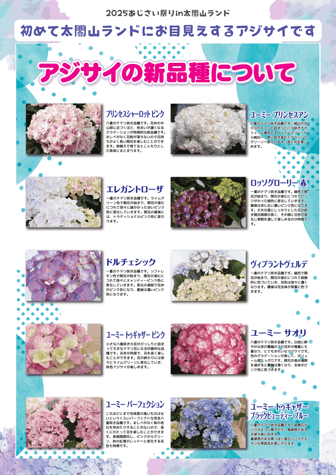 6/13-29開催【2025 あじさい祭り in 太閤山ランド】ことしは約140種! 2