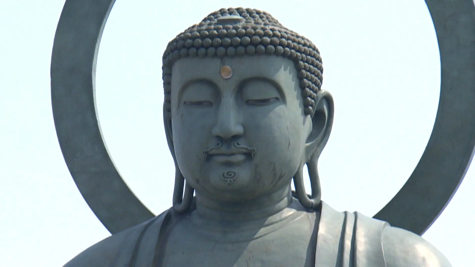 石臼挽きの抹茶とソフトクリームの相性抜群! 高岡大仏のそばで創業90年 