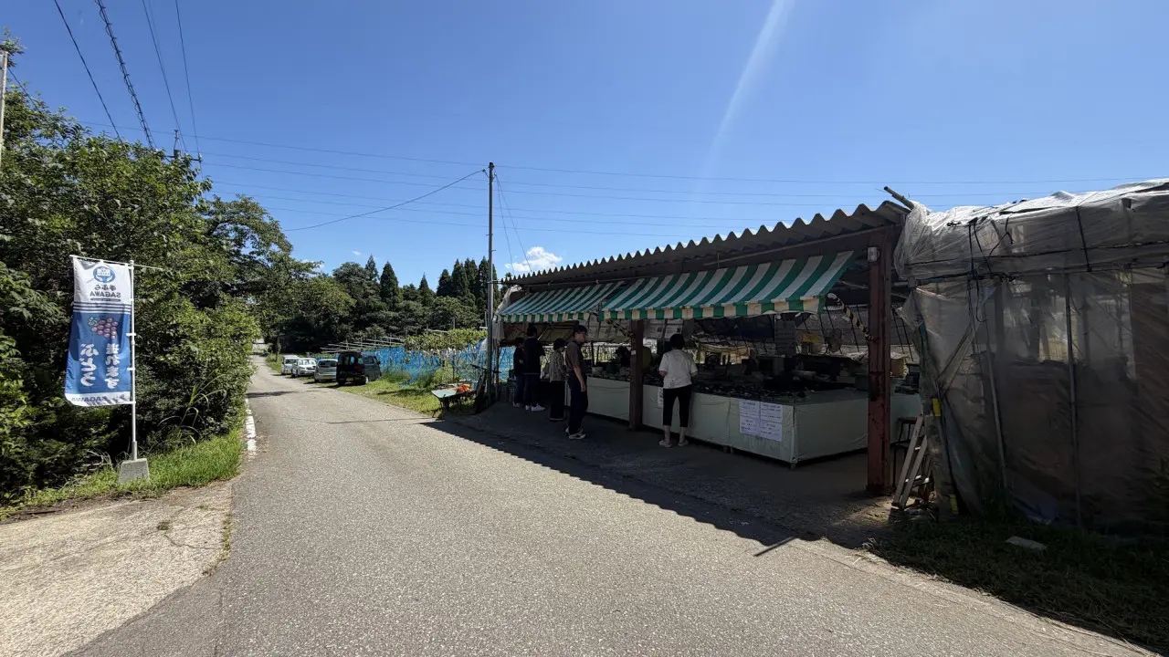 音川観光ぶどう園
