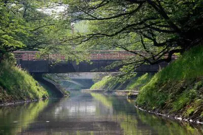 舟橋／画像提供：松川遊覧船