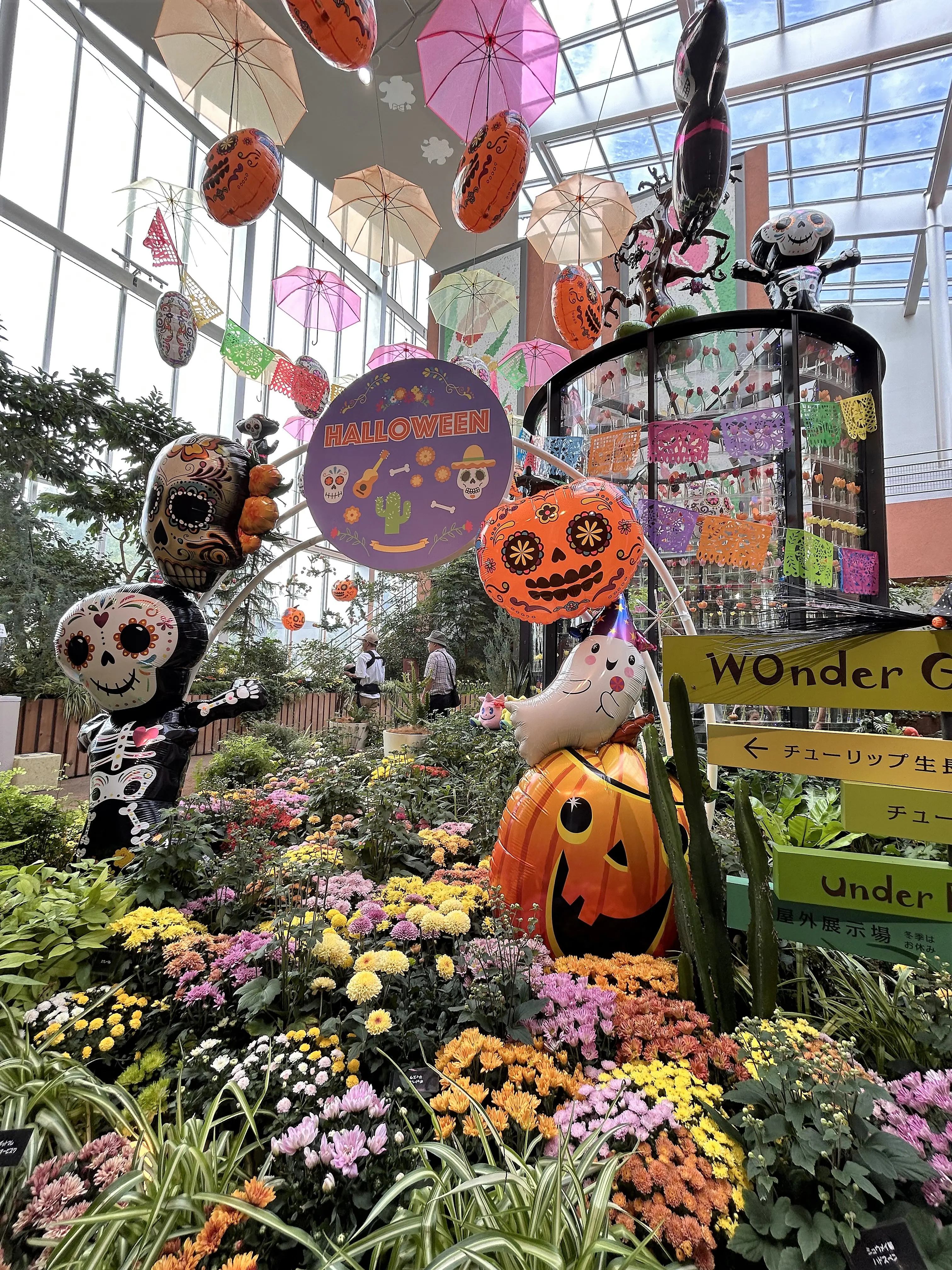 富山でハロウィーン2024】音楽花火とイルミネーション！ペイントや仮装