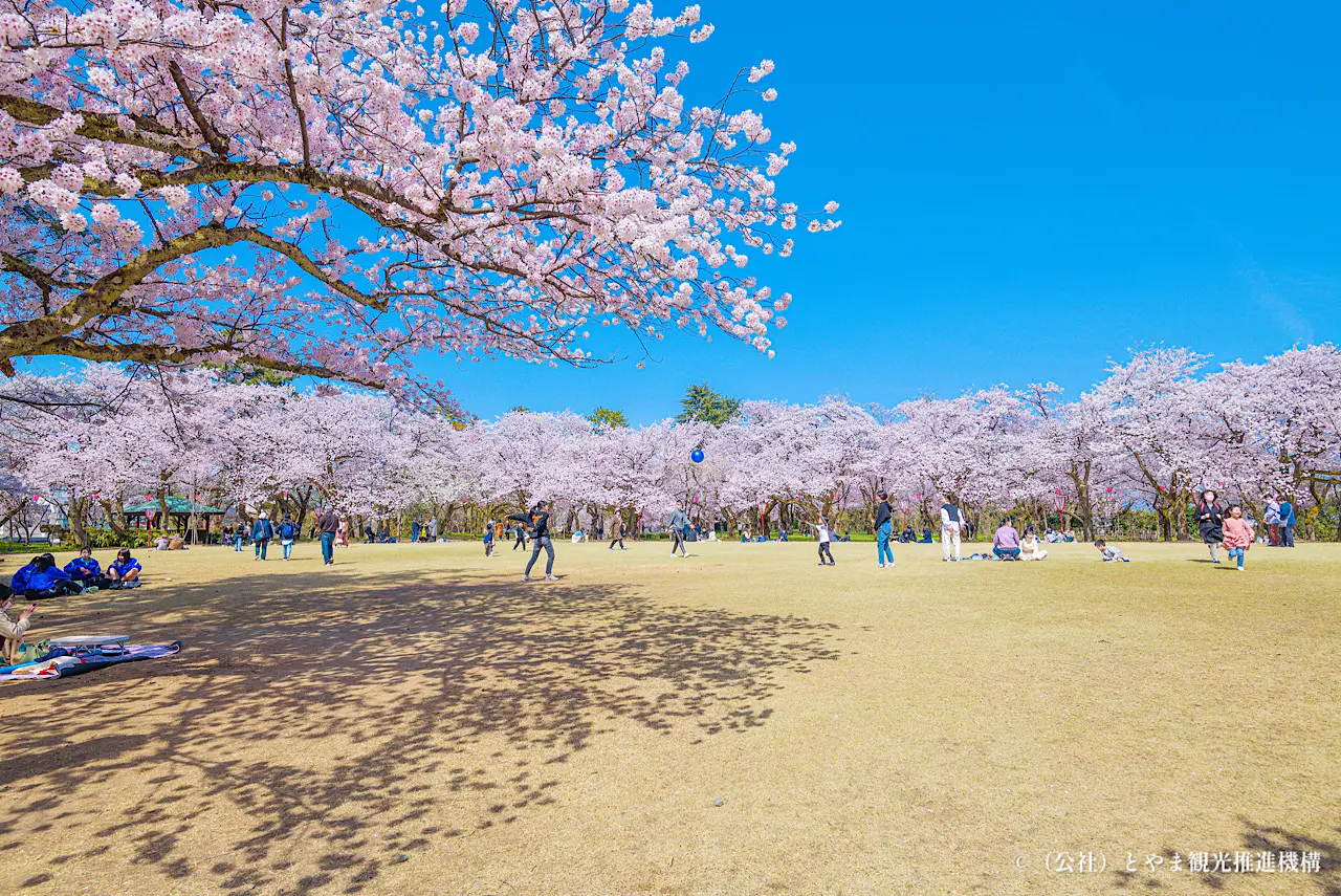 題「古城の景」（不思議な花倶楽部会員の作品）城のアート　大きな緑色フレーム付き 題「古城の景」（押し花作品）城のアート 大きな緑色フレーム付き