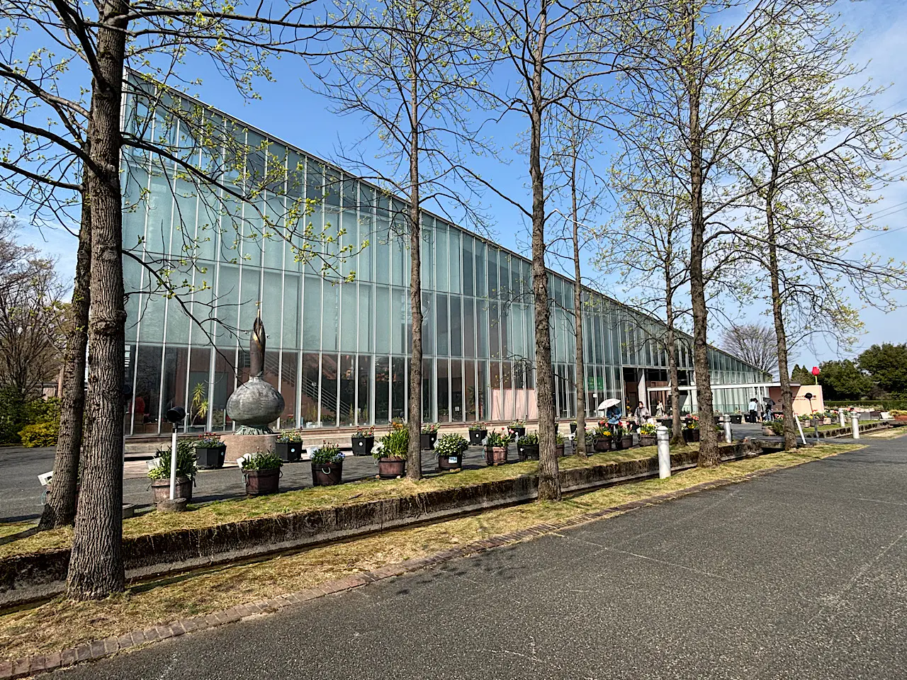 チューリップフェアのお土産はこれ買ったら間違いない!!【チューリップ