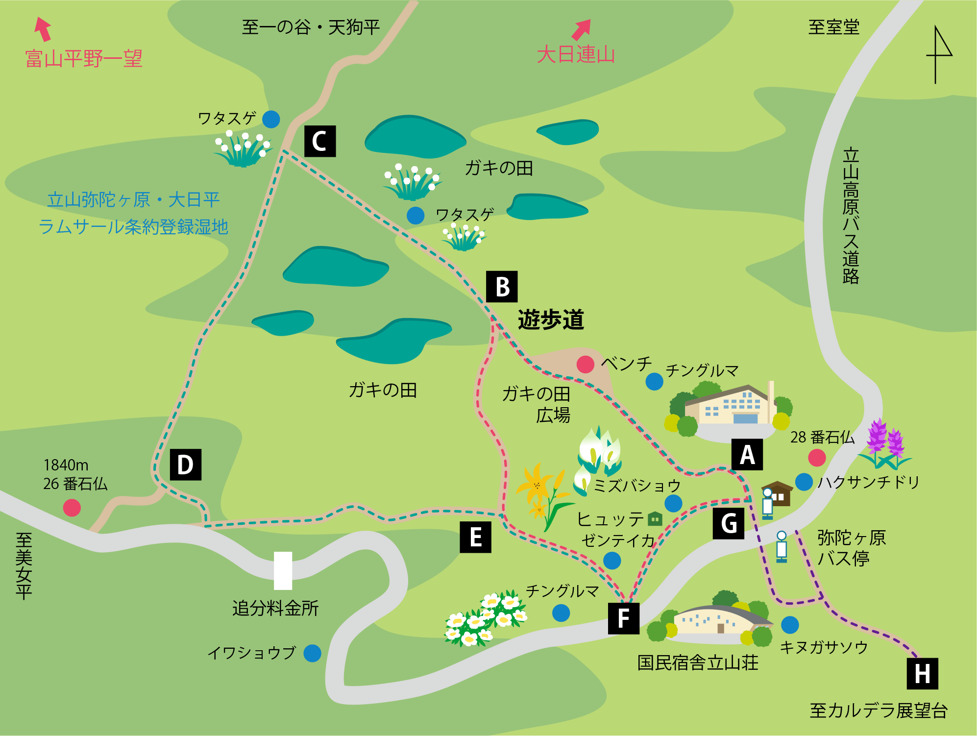 画像提供：弥陀ヶ原ホテル