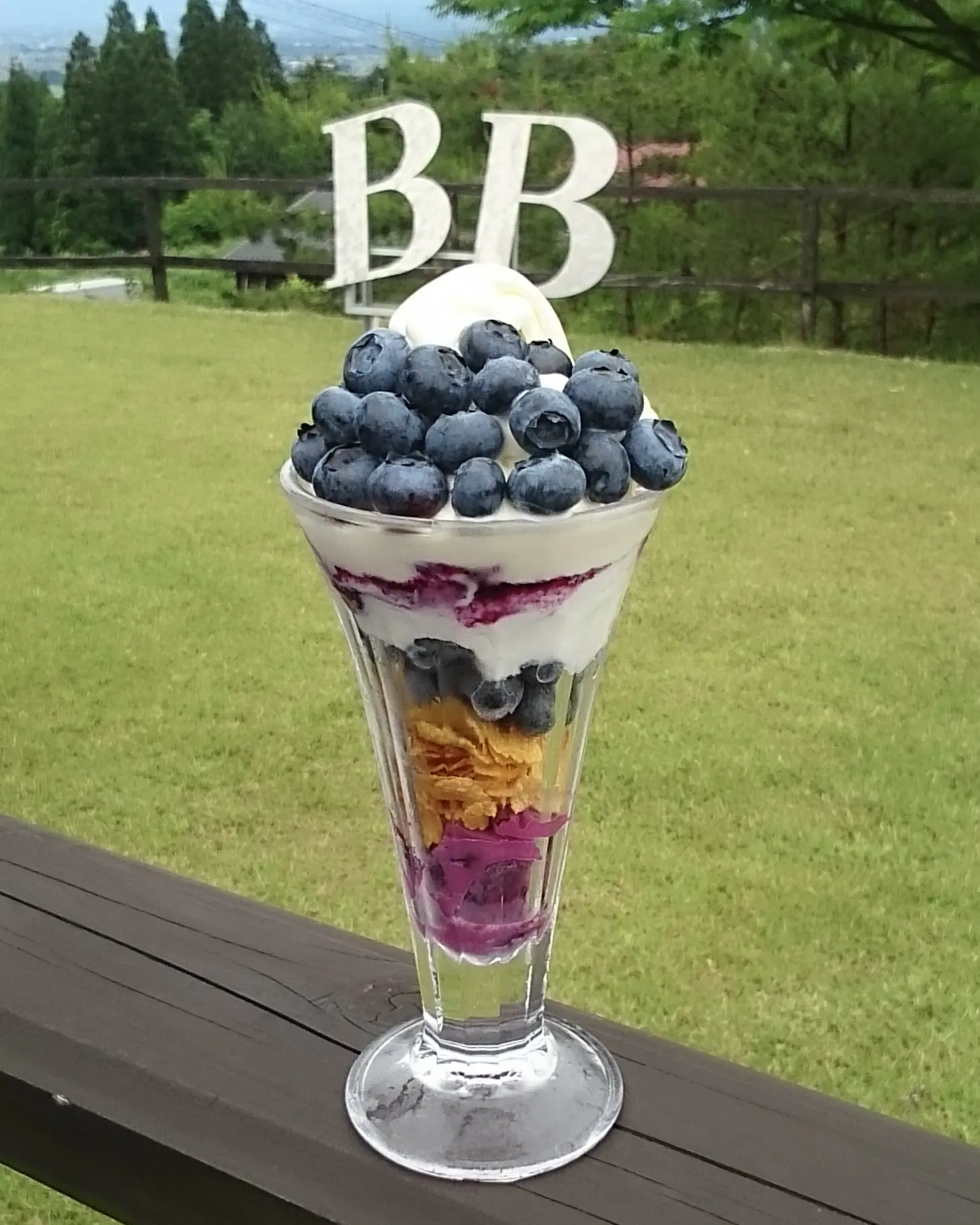 ブルーベリーパフェ 980円（税込）
