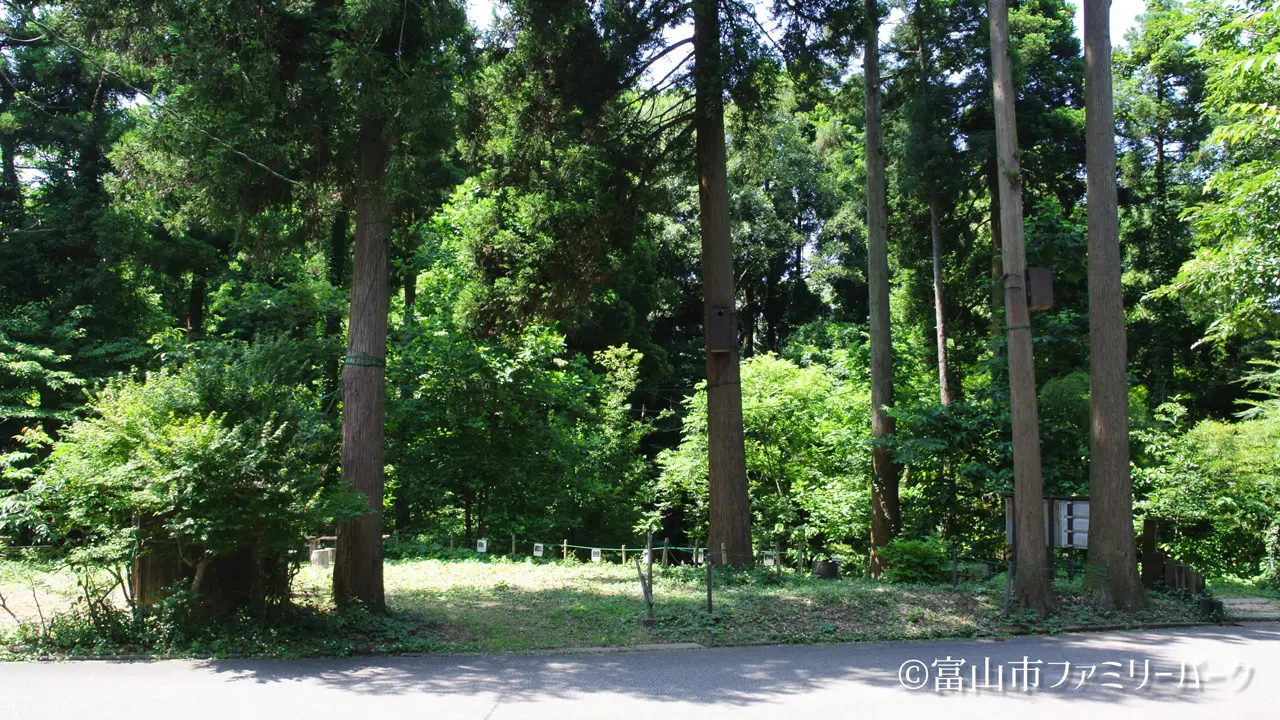 富山市ファミリーパーク ムササビ村一丁目