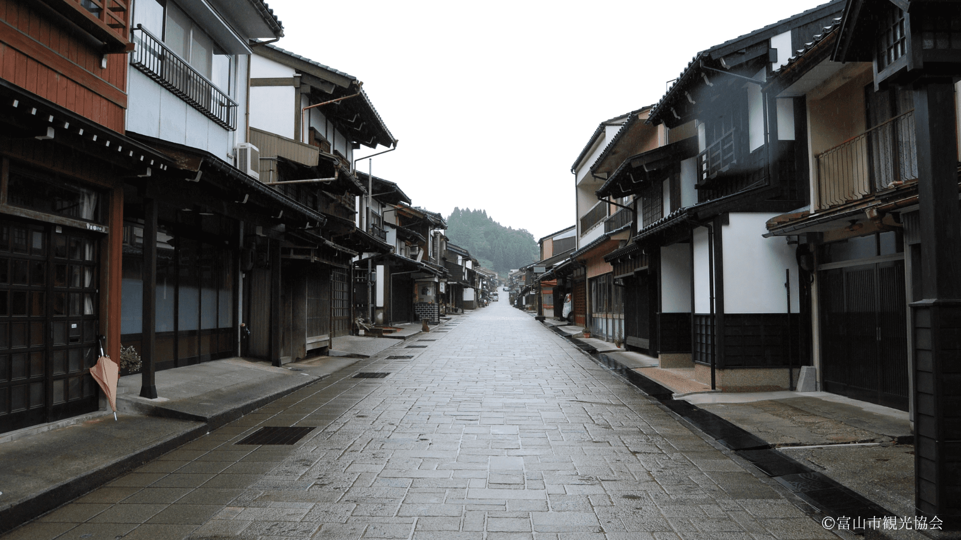 画像提供：富山市観光協会