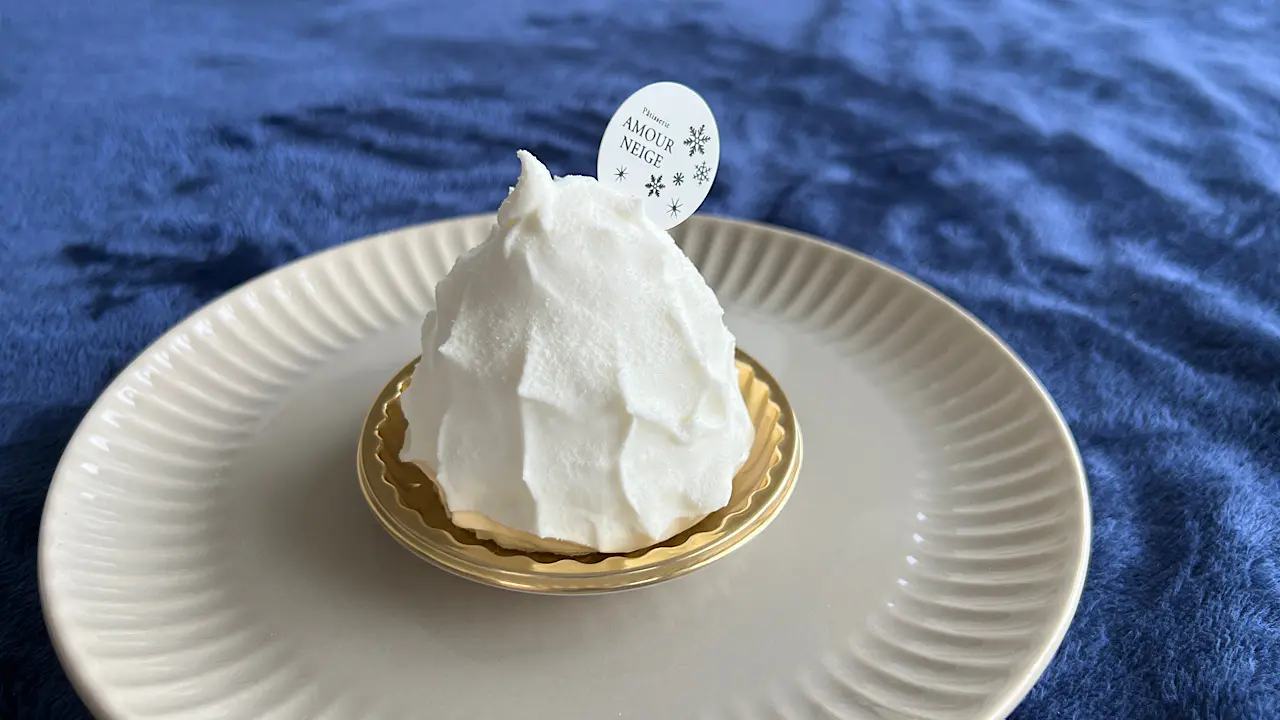 レアチーズケーキ　580円