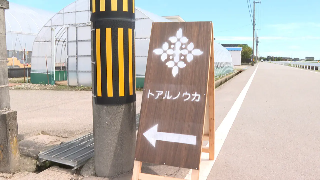 農家直営タマネギ詰め放題500円！ 最多記録は29個…って、1個18円