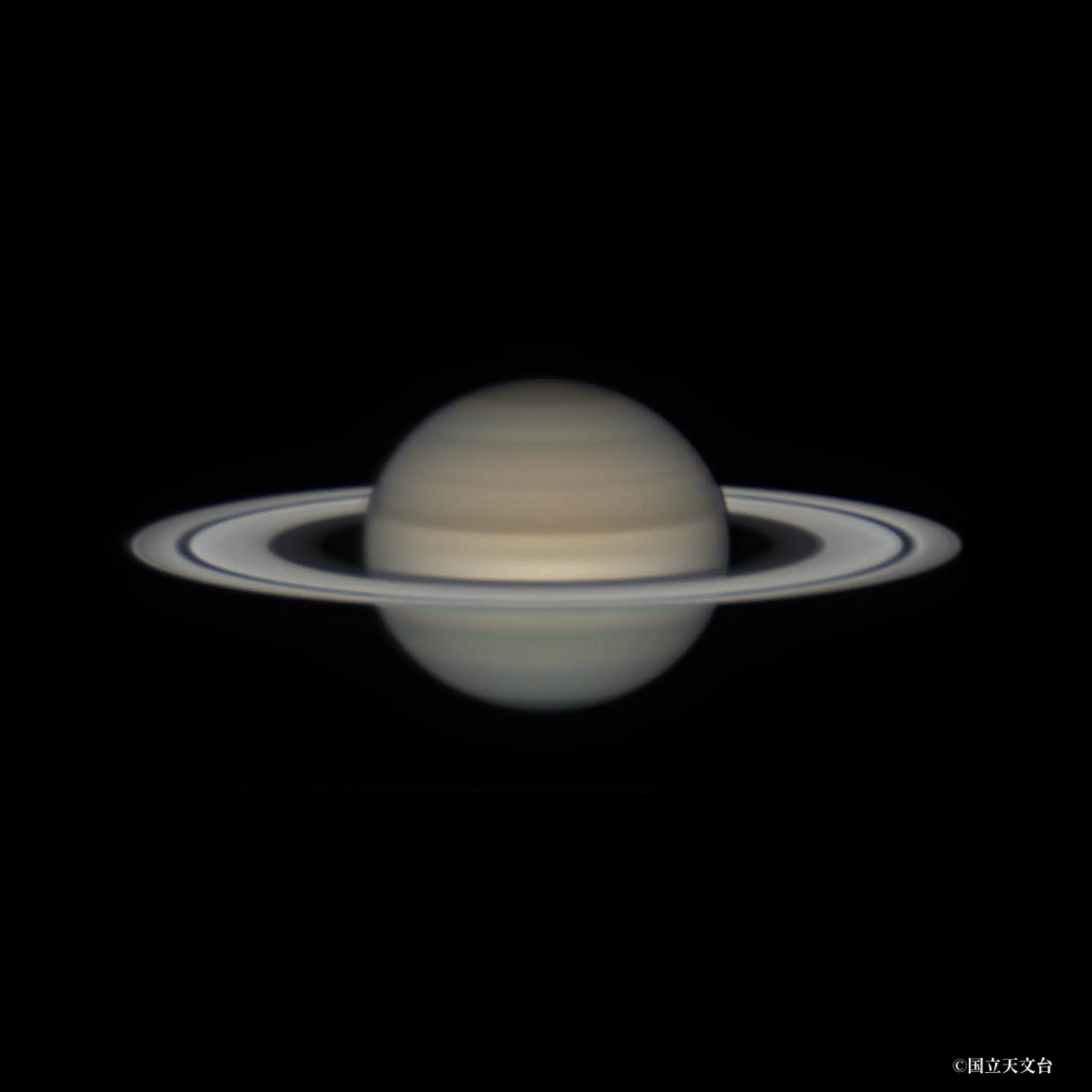 3/24に土星の環が消える!?】15年ぶりの天体ショー 見られるのはいつ 3/24に土星の環が消える!?】15年ぶりの天体ショー 見られるのはいつ