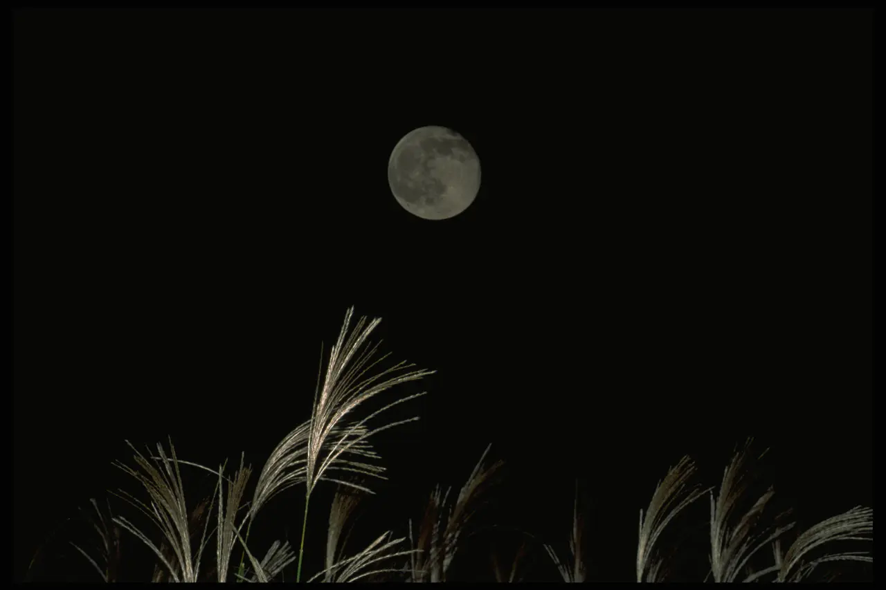 学芸員が見どころを解説【中秋の名月】2024年は9月17日、土星との共演