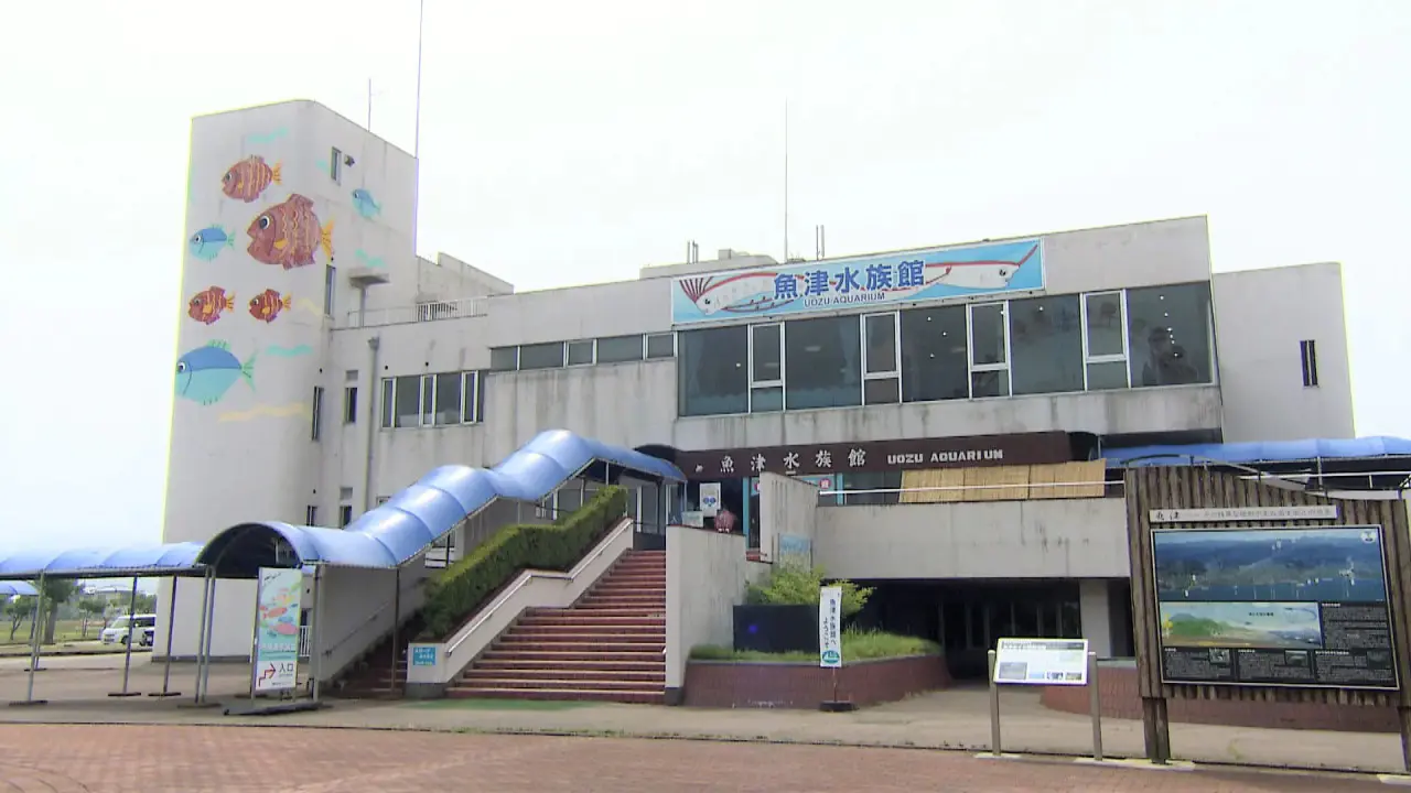2024夏休み 富山おでかけ】光る魚に触れる魚！ 今も残る日本で一番古い