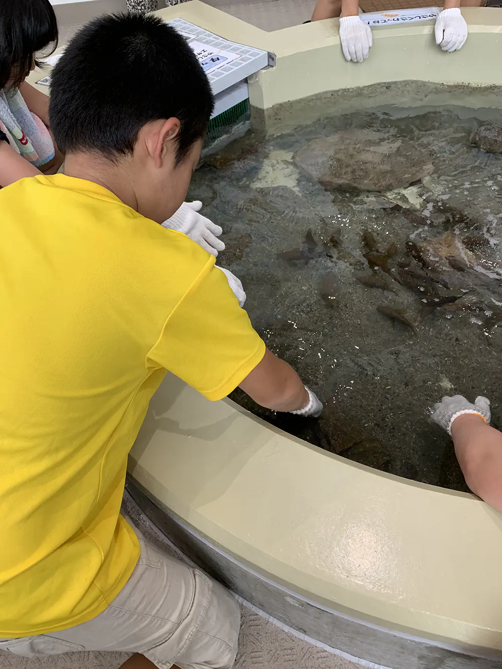 まさ
栽培漁業でする事や大変さを知ることが出来ました。