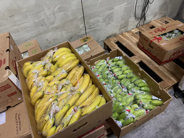 しぃ
野菜の部屋は寒かったけど、競りは賑やかで面白かったです。