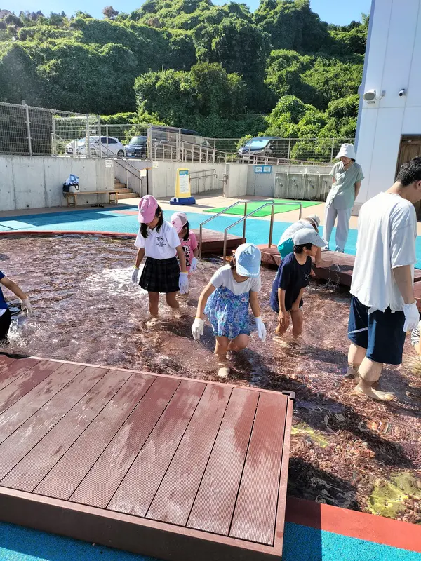 みいちゃん
マイクであいさつをするのが緊張しました。お魚に餌をあげたり、触ったりできると思ってなかったのでとても楽しかったです。