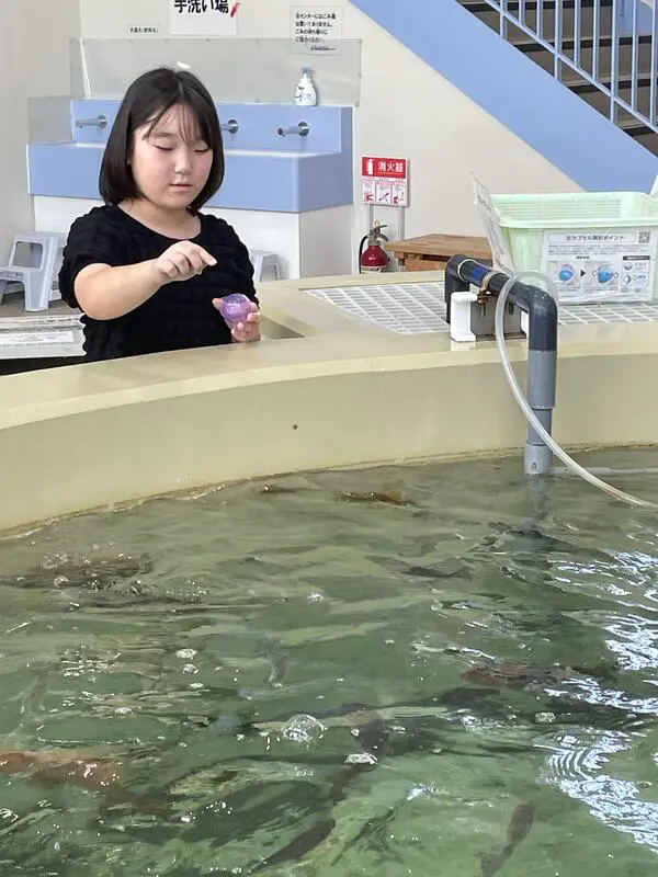 いっちゃん
魚を育てる大変さがわかりました。
たくさんの魚が富山の海に戻ってきてほしいなと思いました。