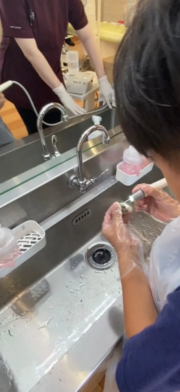 トマト
歯石とりの機械を使つかってうずらの卵の汚れを取るのがとっても楽しかったです。
上手にできてうれしかったです。
