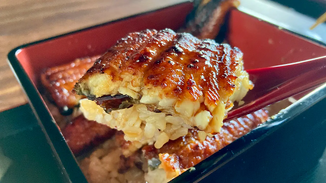 本格ニホンウナギのうな重が1600円から【鰻の成瀬 富山店】うまい