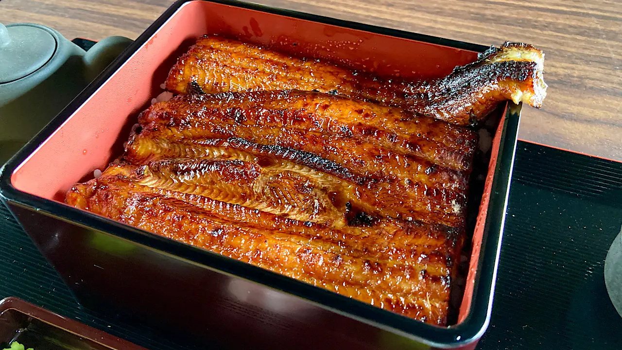 本格ニホンウナギのうな重が1600円から【鰻の成瀬 富山店】うまい