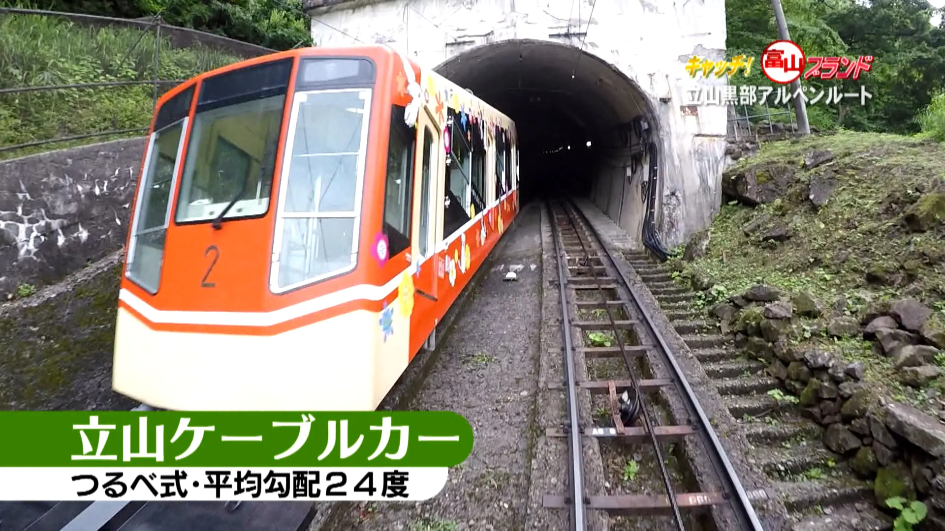 国内唯一のトロリーバス】乗れるのもあとわずか⁉ 鉄道ファンじゃなくて