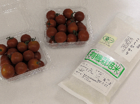 キャベツ
収穫するときへたがとれないようにするのが大変でした。
