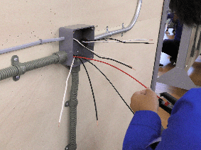 キャベツ
配線がむずかしかったです。
