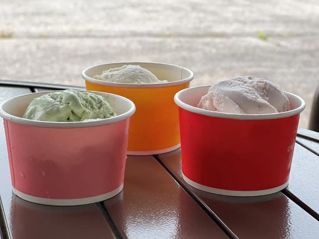富山のこだわりジェラート⑤【つるぎの味蔵】農家直送のフルーツ＆野菜がジェラートに！
