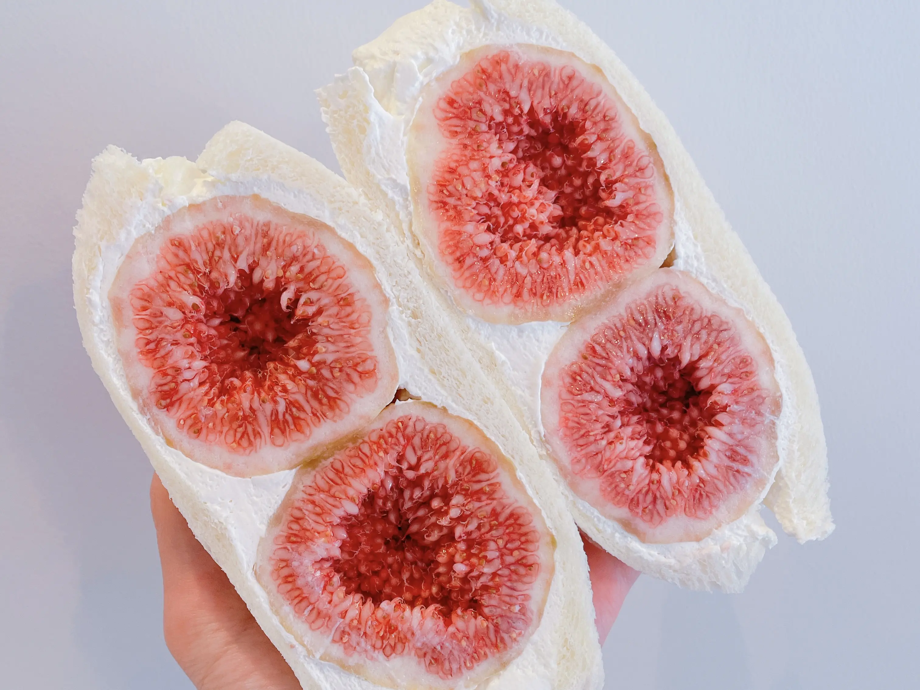 移転オープン】富山で人気のフルーツサンド専門店が独立開業【Fruit