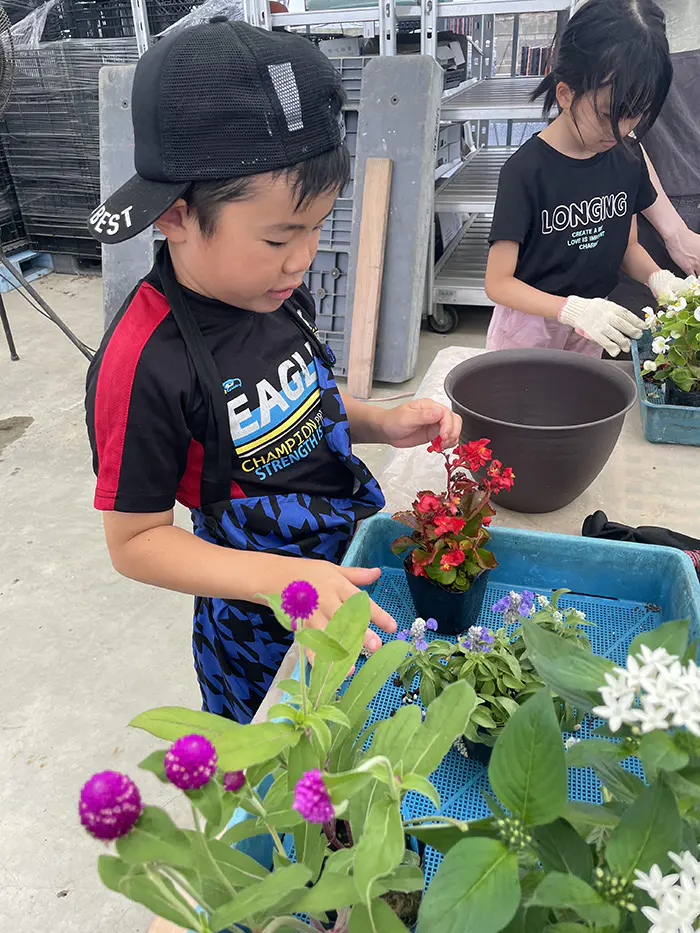 モササウルス
自分で好きなお花を選んで寄せ植えをして楽しかった。毎日、お世話をすることで綺麗なお花を保つことができることが分かりました。