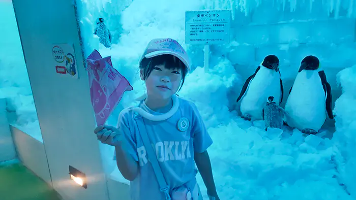 かえで
パークコンシェルジュっていう仕事をはじめて知りました。お客さんが公園を使いやすいように、楽しんでもらえるように、お客さんの声を聞きながら仕事をしていることが分かりました。ミラージュランドのマイナス30度の部屋はぬれたタオルがすぐこおるくらい寒くて、夏でも寒くてすぐに部屋を出てしまいました。