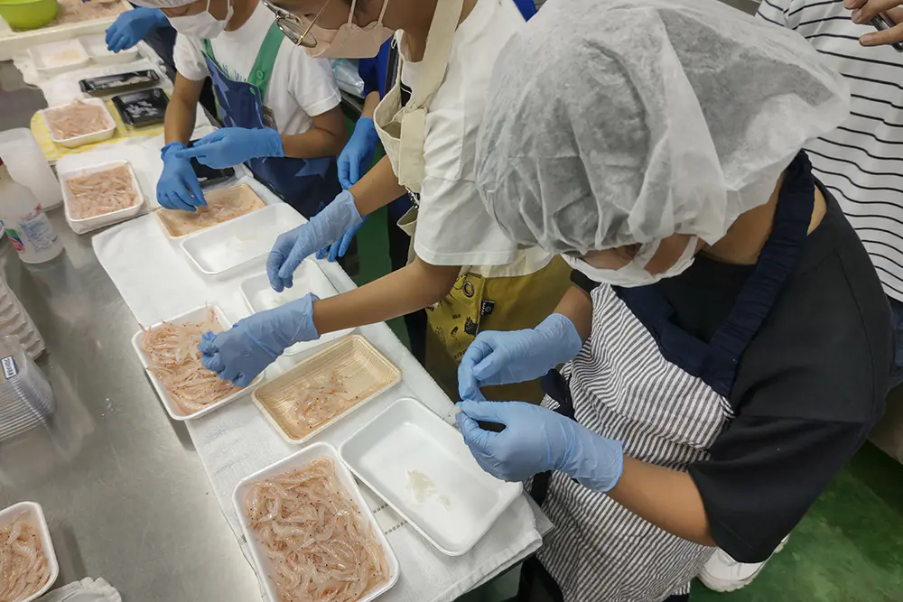 ほの
見学をしたあとに、ホタルイカのすぼしのパックづめをしました。シロエビのからむきでは、最初は身がちぎれたりしてむずかしかったけど、コツを教えてもらったら早くきれいにむけたので良かったし、楽しかったです。
晩ごはんで、手巻きずしをして、自分でからむきをしたシロエビをぐんかんにして食べておいしかったし、家族みんなおいしいと言って食べてくれたのでうれしかったです。
みなさん、ありがとうございました。