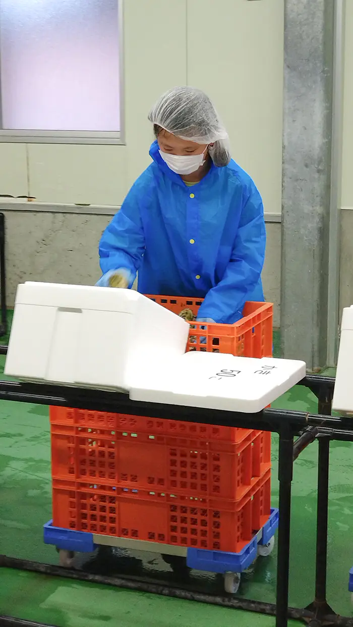 プニノフゆま
カキを洗って箱詰めしたり、お客さんの席に料理を運ぶのが楽しかったです！少し緊張しましたが面白かったです！