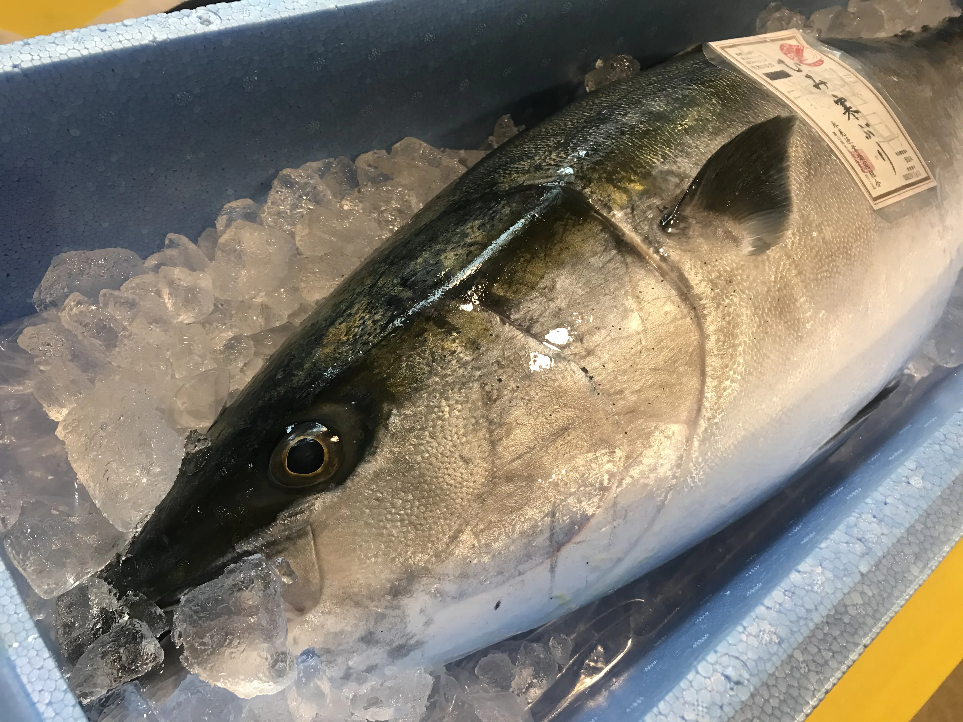 能登半島地震被災で延期のグルメイベントがようやく開催【ひみ番屋街